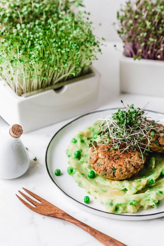 Green Pea Mash with Lentil Patties & Microgreens
